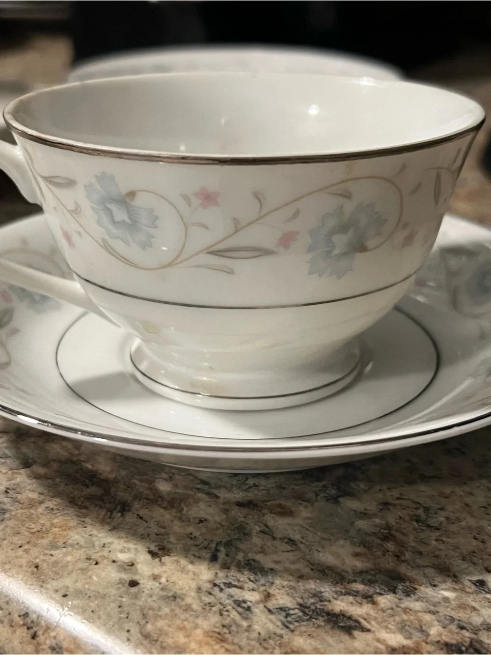 English Garden fine china huge set
